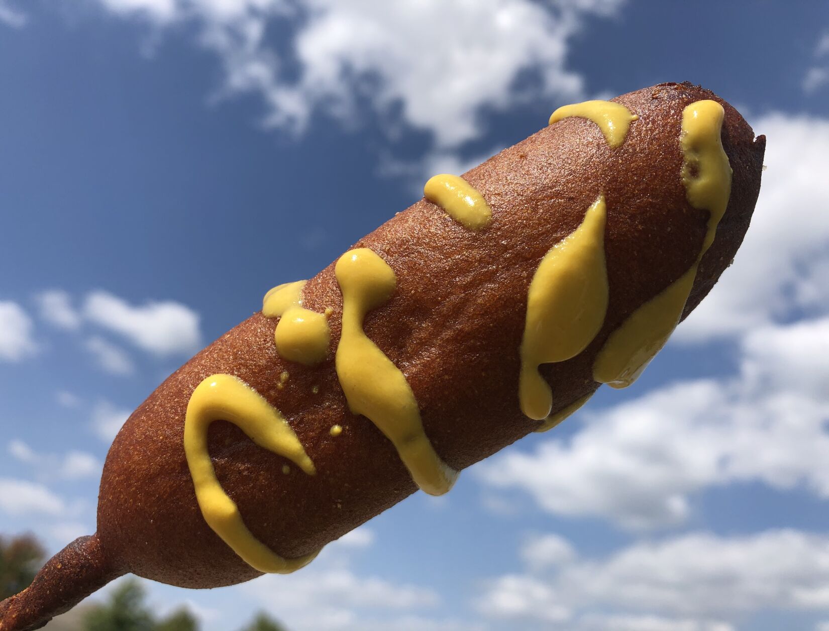 Corn dogs